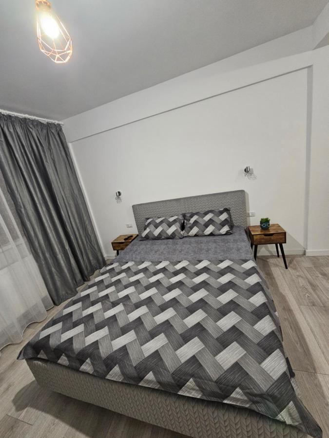 Didi Apartament Craiova Exteriér fotografie
